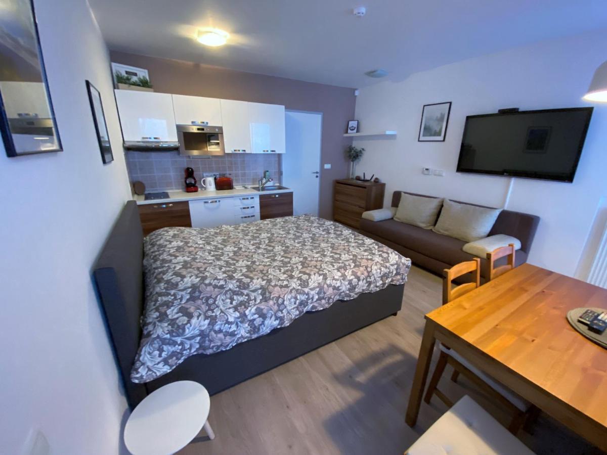 Miky Apartman Klinovec Meadow Лоучна-под-Клиновцем Экстерьер фото